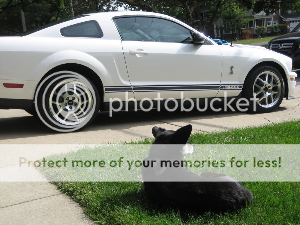 All American Auto Body Paint Greenville Nc All American Auto Body Paint Greenville Nc